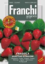 Fr Aardbei Fragola Quatro stagioni 63/1 - afbeelding 1