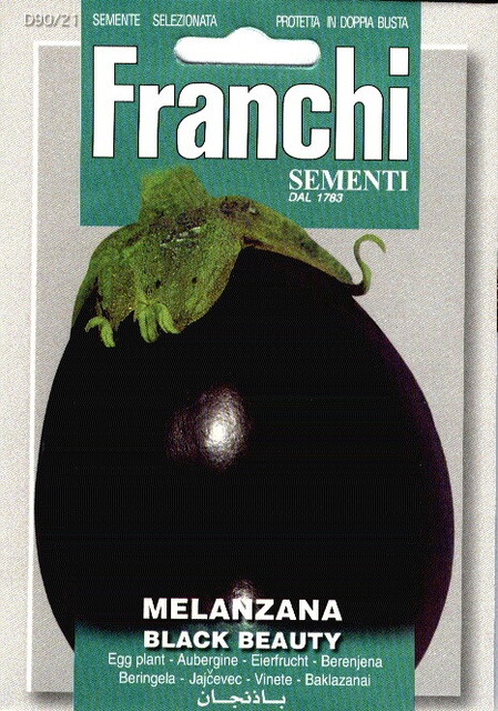 Fr Aubergine, Melanzana Black Beauty 90/21