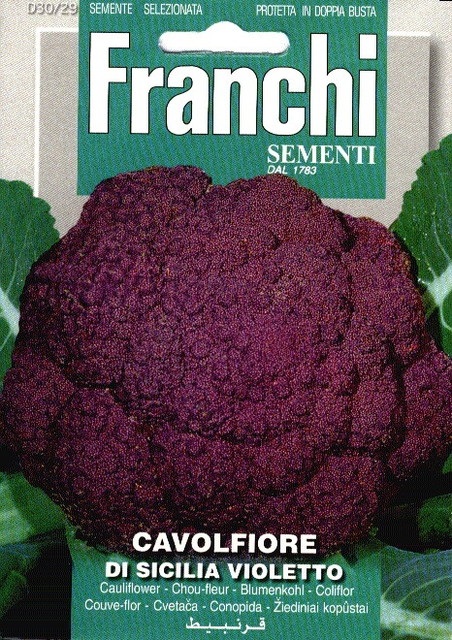 Fr Bloemkool, Cavolfiore Sicilia Violetto 30/29