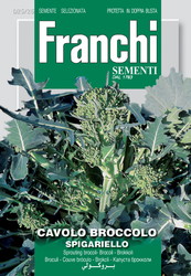 Fr Broccoli bloeiend, Cavolo Broccolo Spigariello 25/26