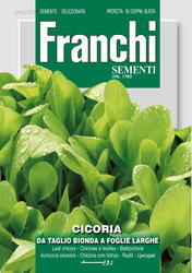 Fr Cichorei, Cicoria Bonda foglie larghe 40/25 - afbeelding 1