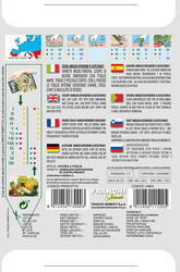 Fr Cichorei, Cicoria var esp Castelfranco 40/20 - afbeelding 2