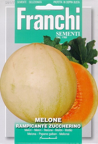 Fr Meloen, Melone Rampicante Zuccherino 91/7