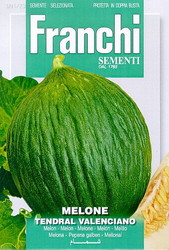 Fr Meloen, Melone Tendral Valenciano 91/23