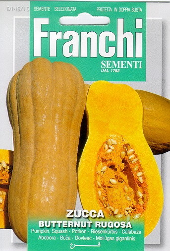 Fr Pompoen, Zucca Butternut rugosa 145/15