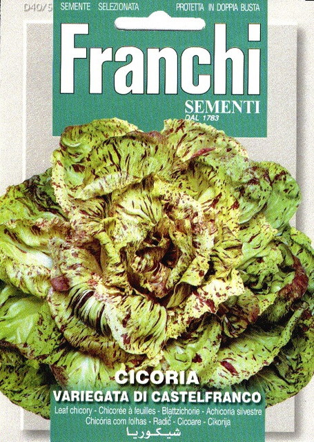 Fr Radicchio, Cicoria Castelfranco 40/5