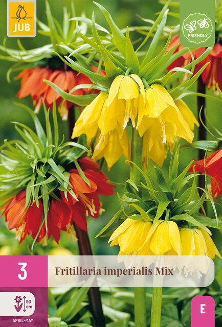Fritillaria imperialis mix 3st - afbeelding 1