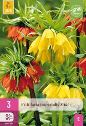 Fritillaria imperialis mix 3st - afbeelding 1