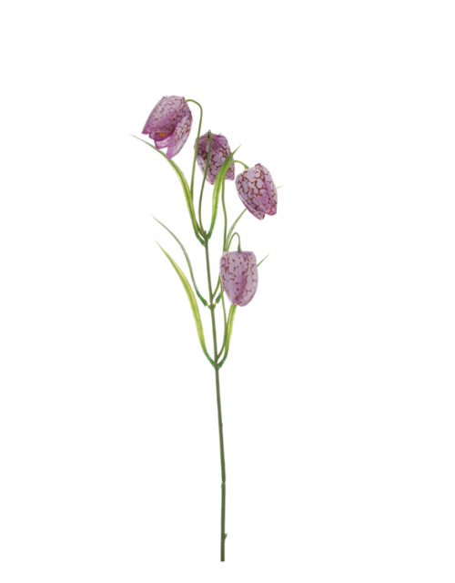 Fritillaria Pick X 4