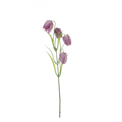 Fritillaria Pick X 4