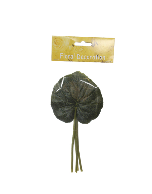 Galax Leaf (4 Pcs In Polybag)