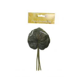 Galax Leaf (4 Pcs In Polybag)