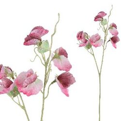 PTMD Garden bloem pink sweet Pea Spray