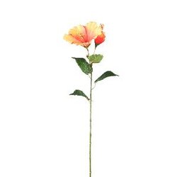 PTMD Garden Flower Orange hibiscus spray with bud