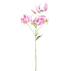 PTMD Garden Flower Pink gloriosa spray with leaves