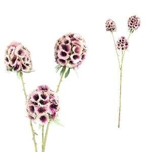 PTMD Garden Flower Pink scabiosa spray