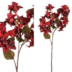 PTMD Garden Flower red bougainvillea spray