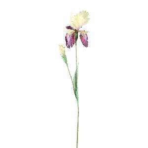 PTMD Garden Flower Red cream iris spray with bud