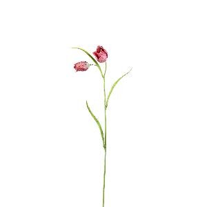 PTMD Garden Flower Red fritillaria spray with leaves