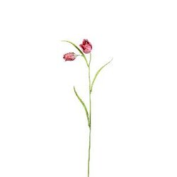 PTMD Garden Flower Red fritillaria spray with leaves