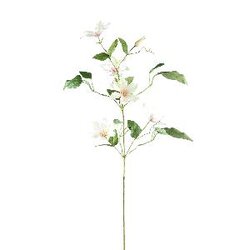 PTMD Garden Flower White clematis spray