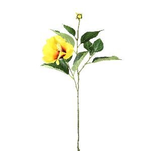PTMD Garden Flower yellow Hibiscus with bud