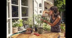 Gardena freshcut kruiden oogstschaar - afbeelding 7