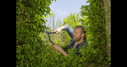 Gardena heggenschaar naturecut - afbeelding 4