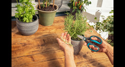 Gardena herbcut kruidenschaar met holster - afbeelding 7