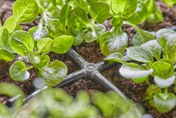 Gardena Kruisstuk 4.6mm (3/16) - afbeelding 2