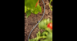 Gardena Micro-Drip-Systeem 4,6mm 50m - afbeelding 2