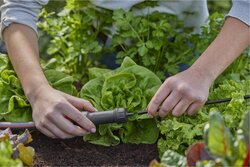 Gardena Micro-Drip systeem hoofdapparaat 1000  - afbeelding 3