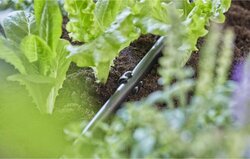 Gardena Micro-Drip System buishouder 13mm 10 stuks - afbeelding 2