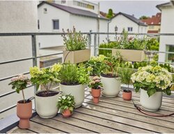 Gardena Micro-Drip system Start set balkon - afbeelding 5