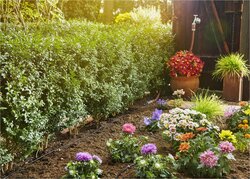Gardena Micro-Drip System start set gewassen en plantenrij - afbeelding 4