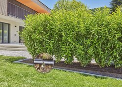 Gardena Micro-Drip system start set heggen en struiken 25m - afbeelding 4