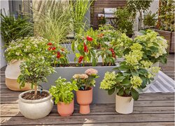 Gardena Micro-Drip system Start set terras - afbeelding 5