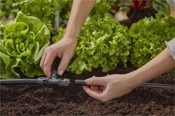 Gardena Micro-Drip system T-stuk 13 mm 2 stuks - afbeelding 2