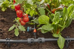 Gardena Micro-Drip system T-stuk 13 mm 5 stuks - afbeelding 3