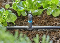 Gardena Micro-Drip System T-stuk voor sproeiers 5 stuks - afbeelding 2