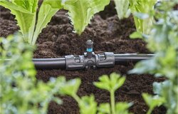 Gardena Micro-Drip system T-stuk voor sproeiers 5 stuks - afbeelding 3