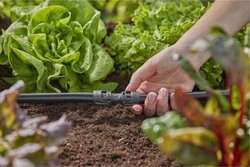 Gardena Micro-Drip System Verbindingsstuk 13 mm - afbeelding 2