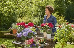 Gardena plantenspuit 1L - afbeelding 4
