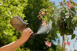 Gardena plantenspuit 1L - afbeelding 7