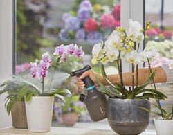 Gardena plantenspuit 1L - afbeelding 3