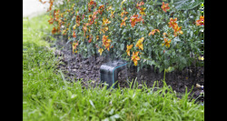 Gardena smart sensor - afbeelding 5