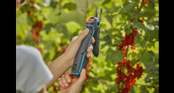 Gardena snoeischaar assistcut accu - afbeelding 5