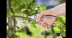 Gardena snoeischaar premium bp 50 - afbeelding 4