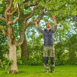 Gardena takkenschaar EnergyCut pro S - afbeelding 3