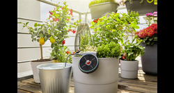 Gardena vakantiebewateringsset AquaBloom - afbeelding 4
